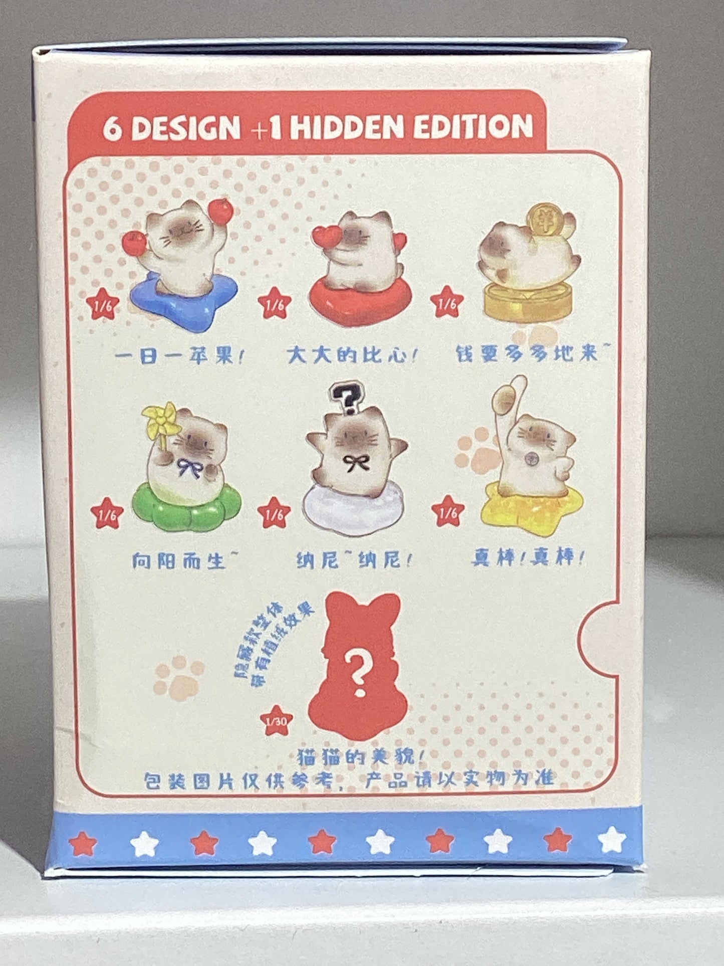 Lewuyou Pai Cat Blind Box