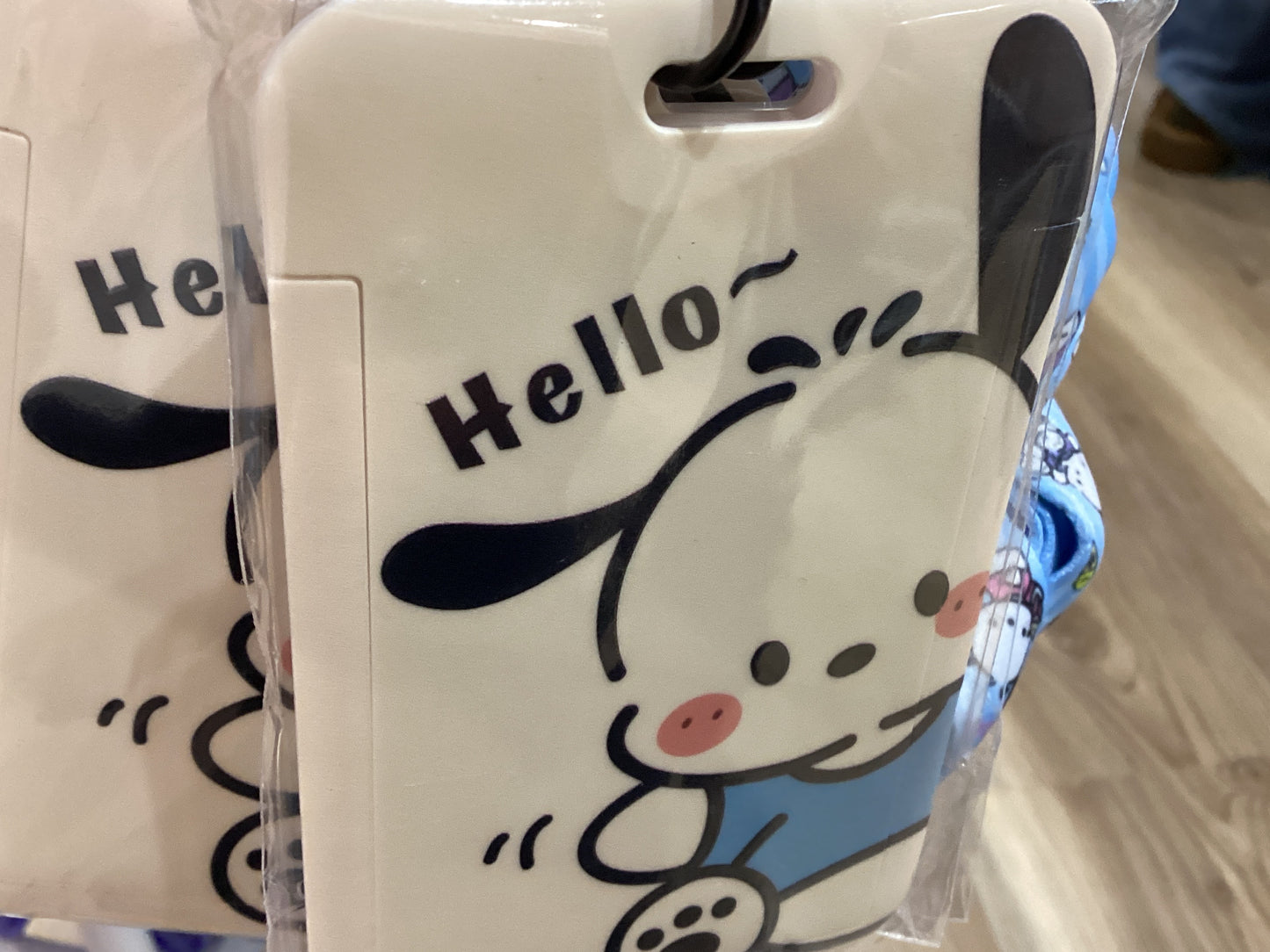Card Case + Lanyard