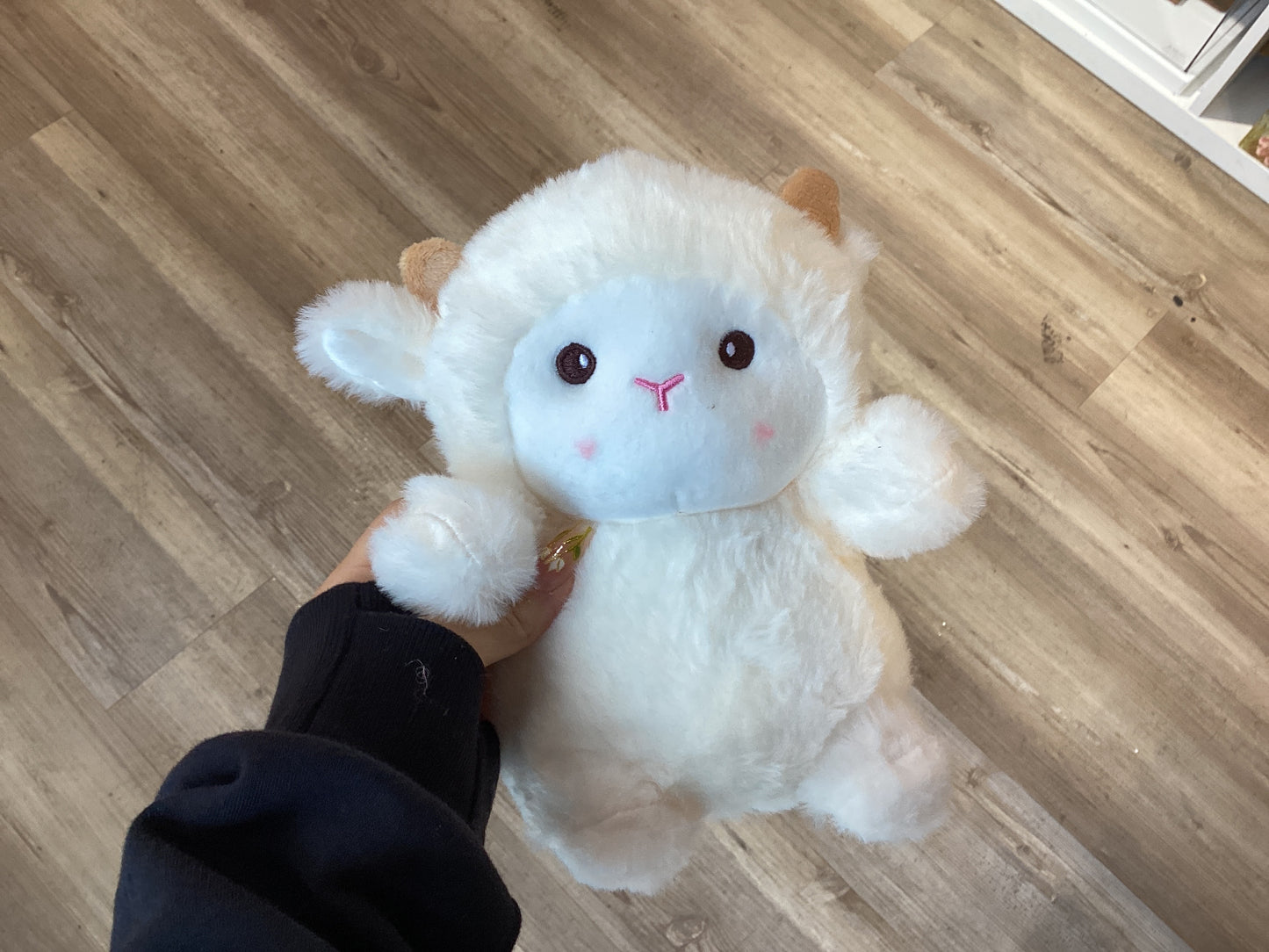 Plush