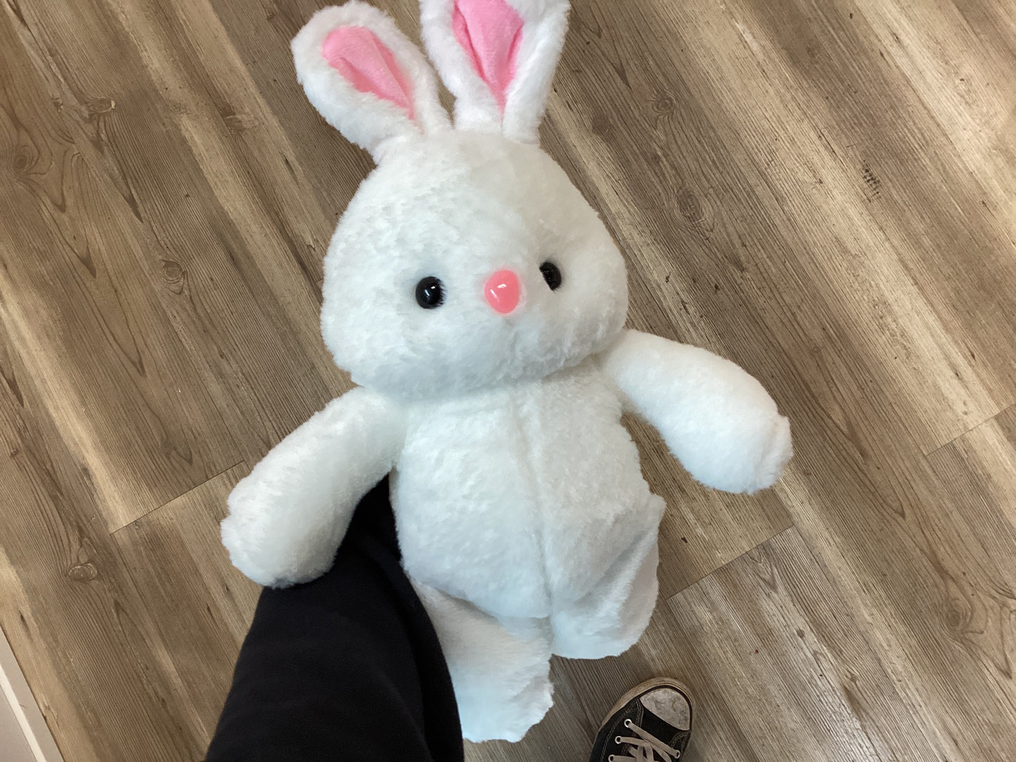 Plush