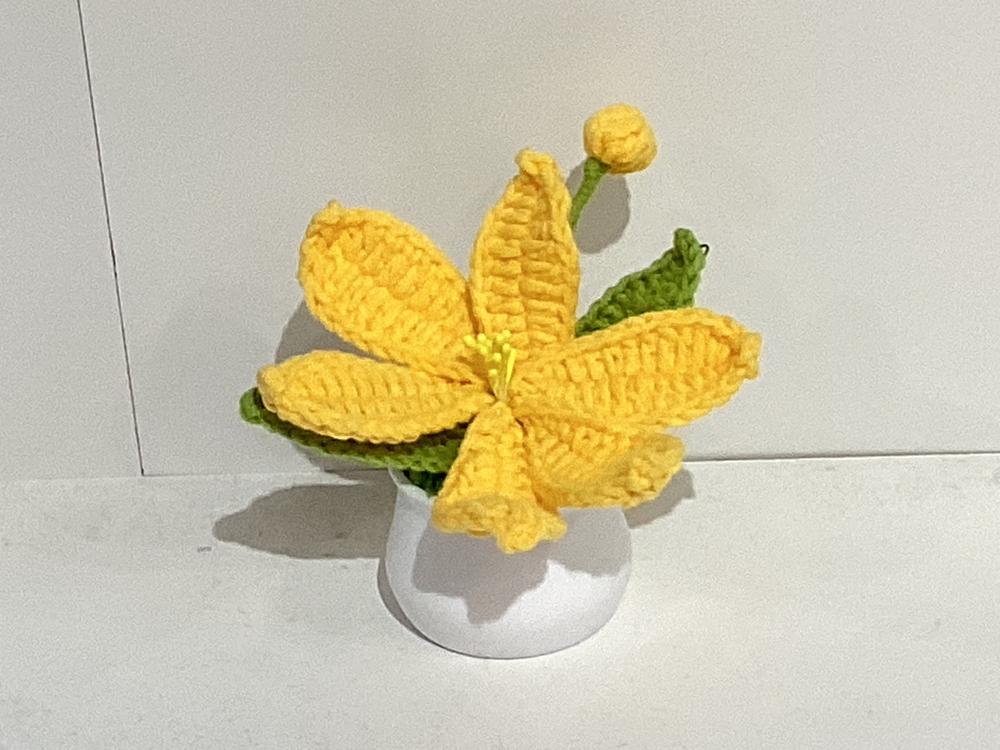 Handmade Crochet Flower Pots