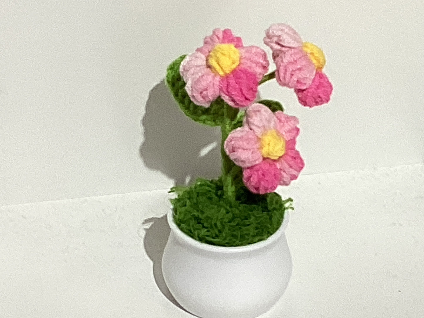 Handmade Crochet Flower Pots