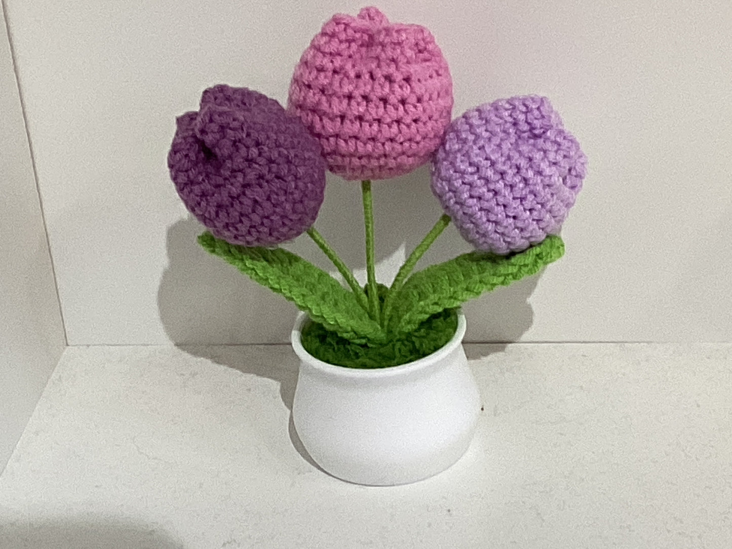 Handmade Crochet Flower Pots