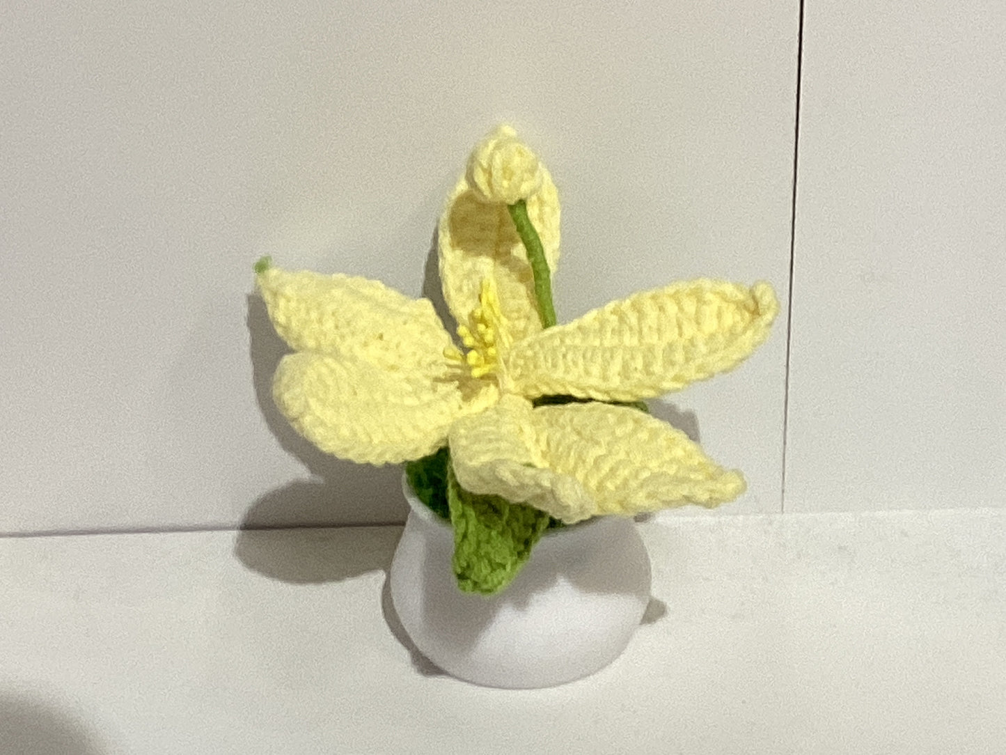 Handmade Crochet Flower Pots