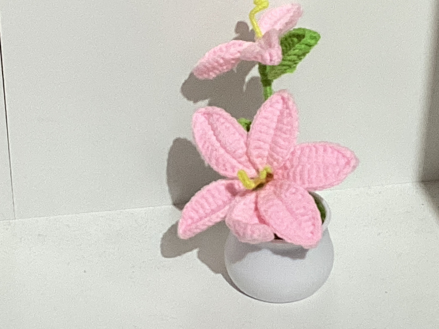 Handmade Crochet Flower Pots