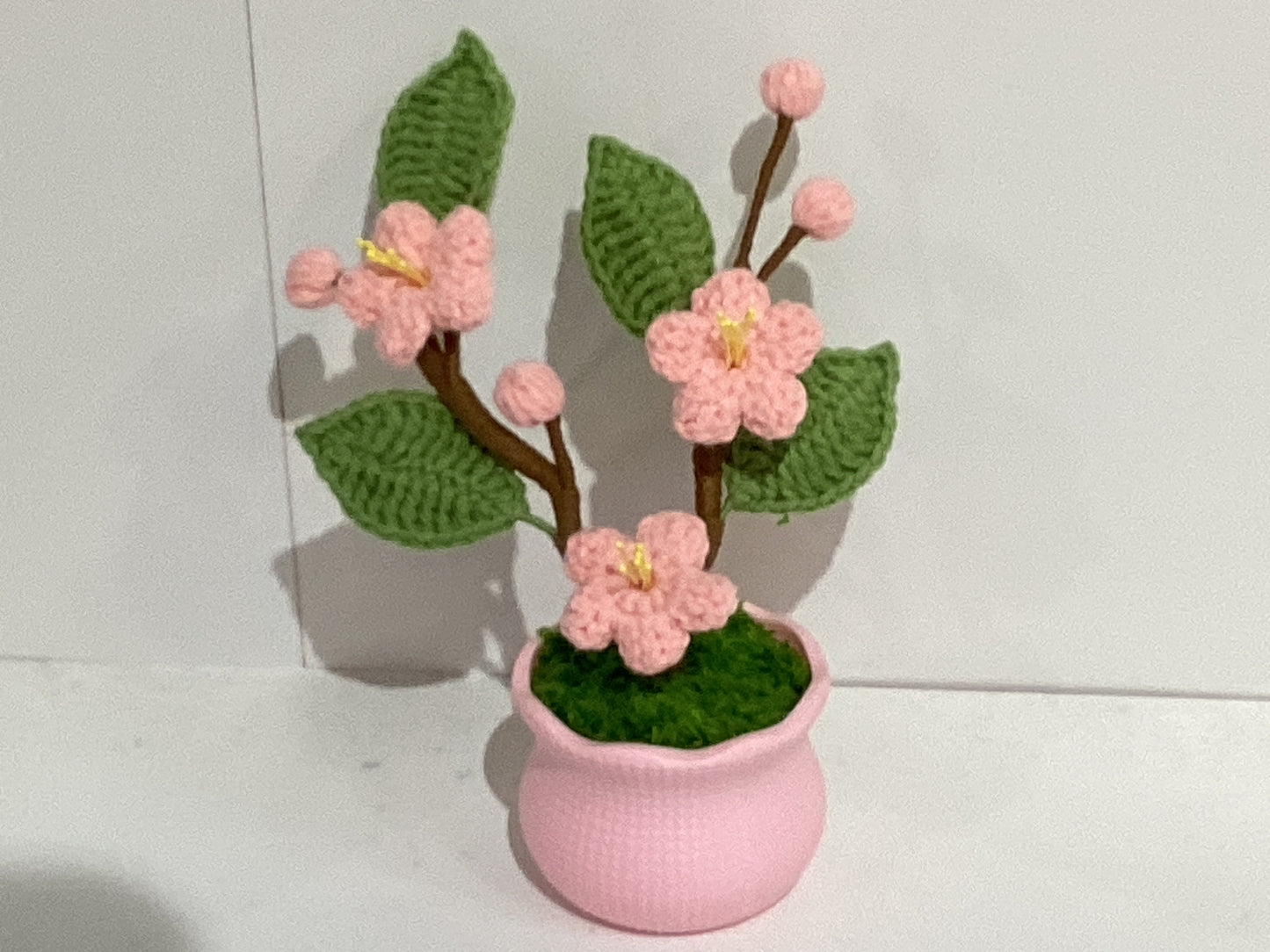 Handmade Crochet Flower Pots