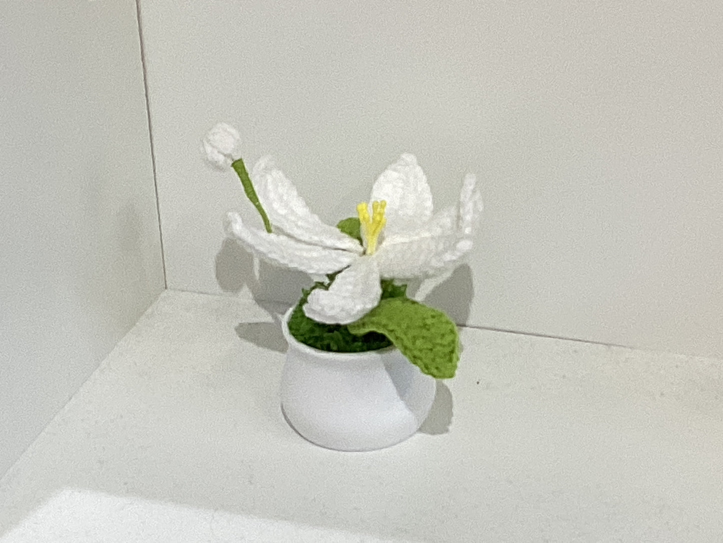Handmade Crochet Flower Pots