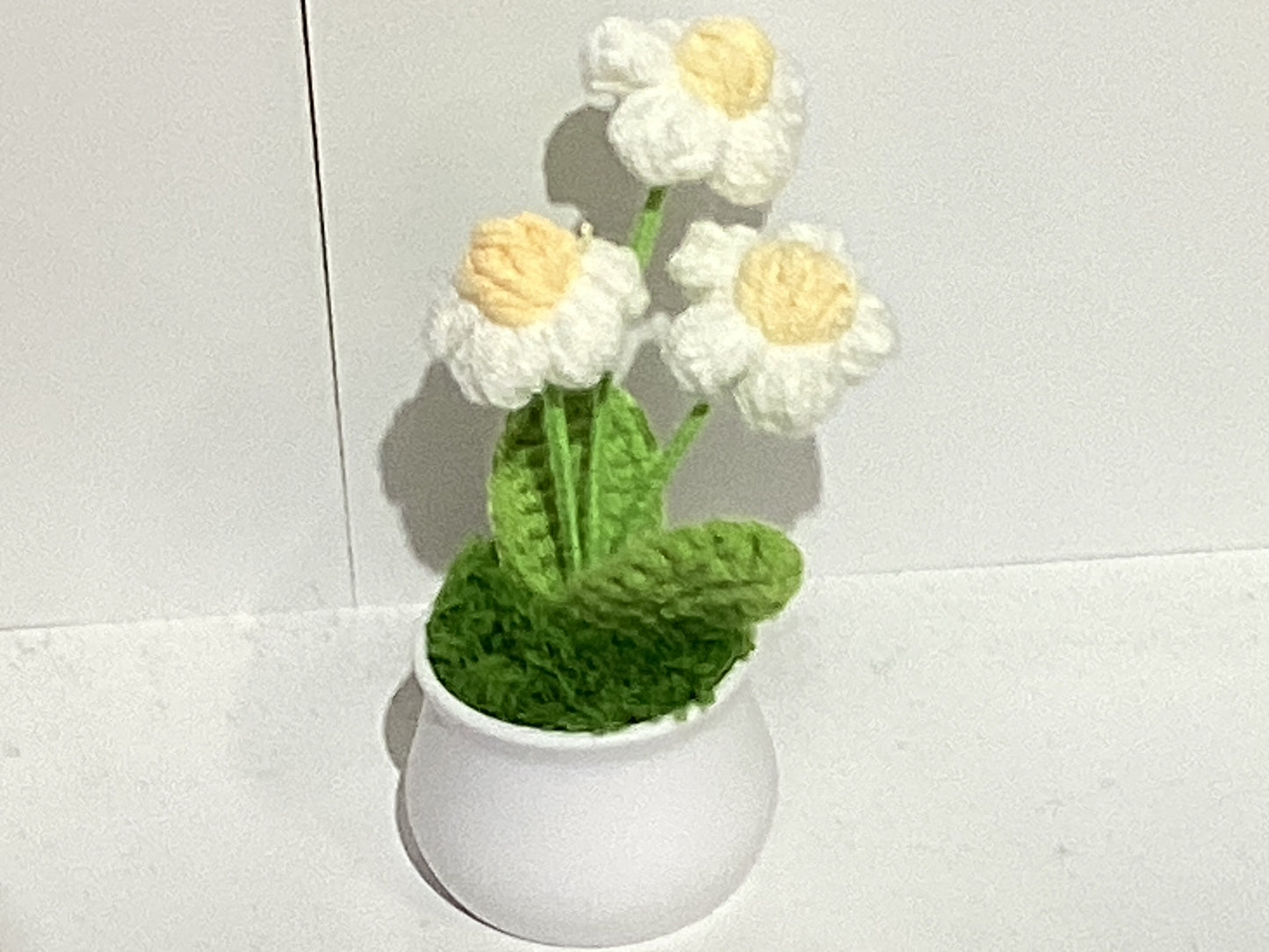 Handmade Crochet Flower Pots