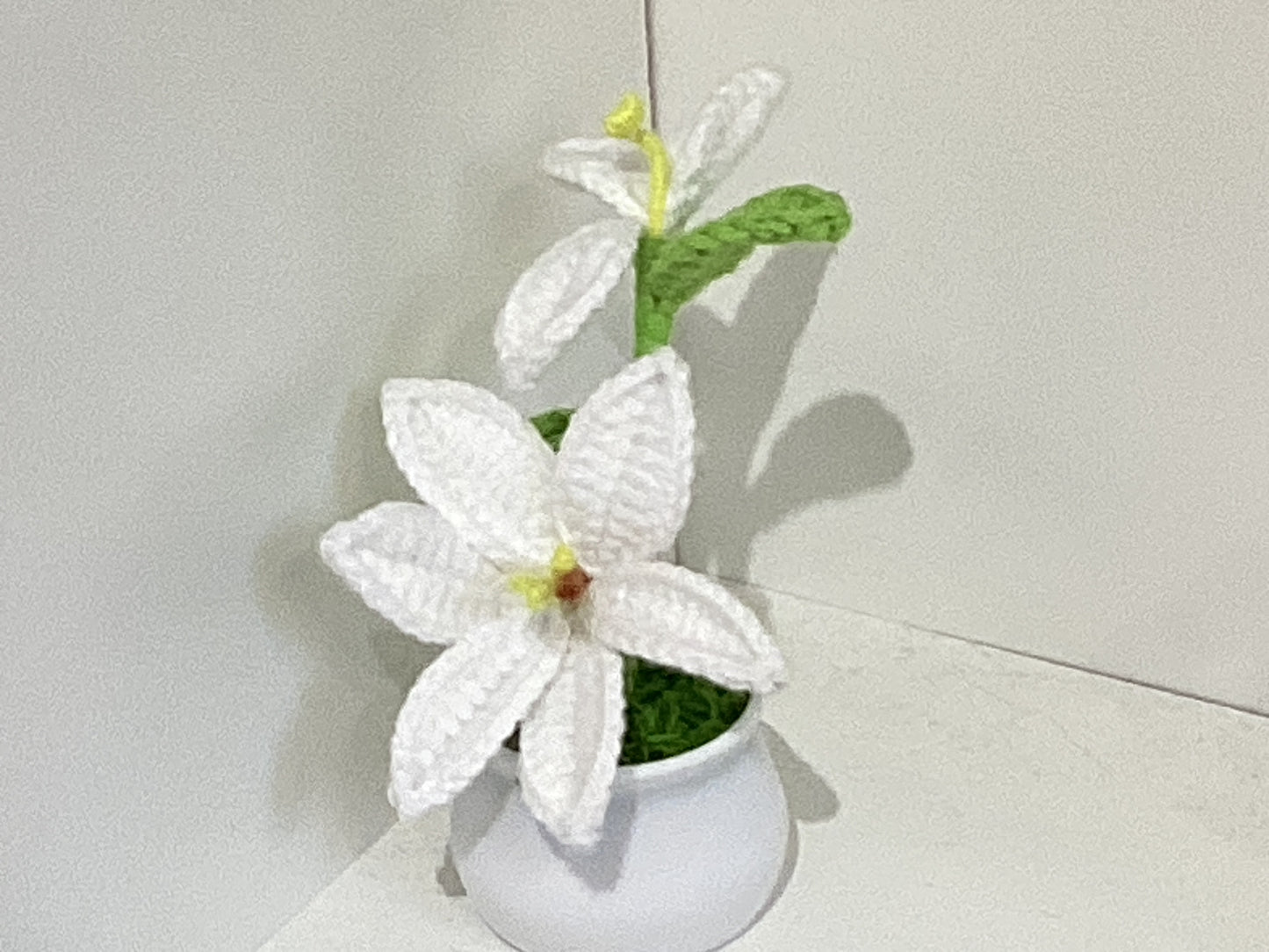 Handmade Crochet Flower Pots