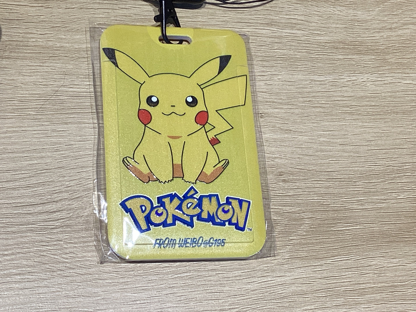 Card Case + Lanyard
